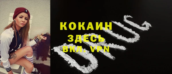 прущие грибы Сатка