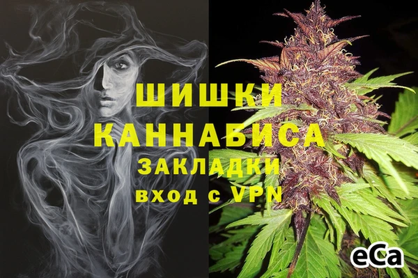 гашик Баксан