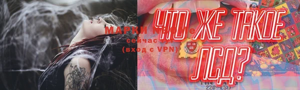 гашик Баксан