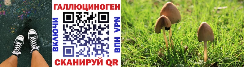 гидра ONION  Крымск  Галлюциногенные грибы Magic Shrooms  продажа наркотиков 